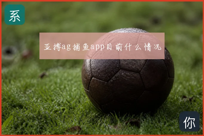 亚搏ag捕鱼app目前什么情况